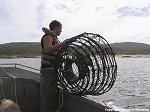Local flilnders island fisherman setting a crayfish pot.