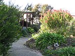 Motel units on Flinders Island set in 1 acre of native gardens. Lady Barron, Flinders Island.